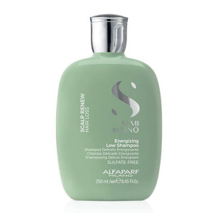 ALFAPARF szampon energetyzujący do włosów 250ml