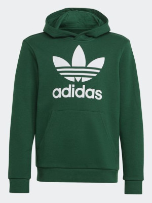 Bluza młodzieżowa Adidas Trefoil Hoodie zielona-  IB9984