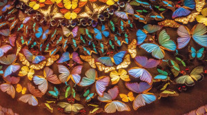 Ręcznik plażowy 180 x 100 cm duży XXL