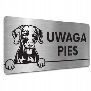 TABLICZKA UWAGA PIES Wyżeł weimarski krótkowłosy