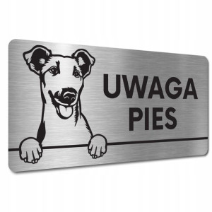 TABLICZKA UWAGA PIES ZŁY Foksterier krótkowłosy