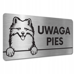 Tabliczka Uwaga Pies Zły Pies Groźny Pies Samojed