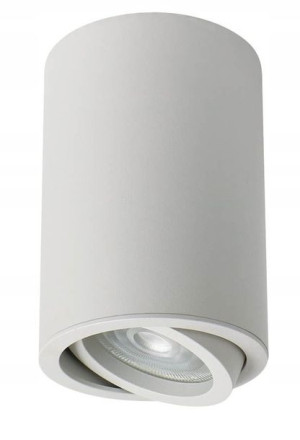Downlight Oprawa Sufitowa Spot 50w Ruchoma Bemko