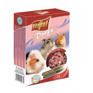 VITAPOL Dropsy dla gryzoni owoce lasu 75g 1031
