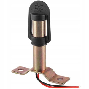 Trzpień Do Lampy Ostrzegawczej Koguta Typ T 12/24v
