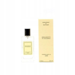 Spray Premium BERGAMOTTO DI CALABRIA 100 ml