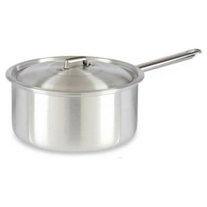 Garnek z Pokrywką Srebrzysty Aluminium 4 L (24,5 x 12 x 41 cm)
