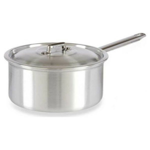 Garnek z Pokrywką Srebrzysty Aluminium 3 L (22 x 12 x 38 cm)