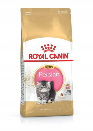 ROYAL CANIN Persian Kitten kocięta persa 10 kg