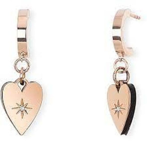Kolczyki Damskie 2Jewels REGINA DI CUORI