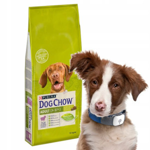 PURINA DOG CHOW ADULT Jagnięcina 14KG