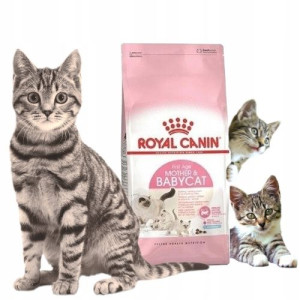 Royal Canin FHN Baby Cat 36 0,4 kg