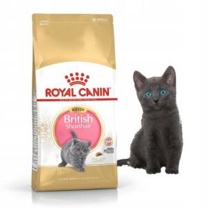 Royal Canin KITTEN BRITISH 10 kg