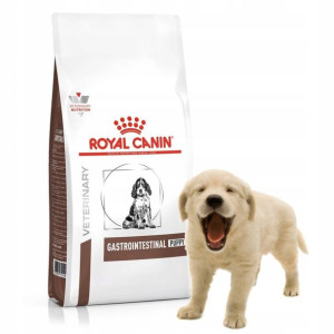 Karma Royal Canin VD Dog Gastro Inte Jun 10kg