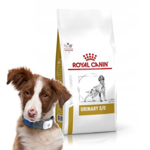 Royal Canin Vet Urinary S/O Canine 2kg