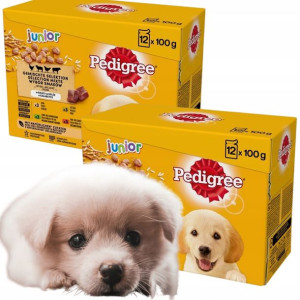 PEDIGREE Junior karma w galarecie dla psa 24x100g