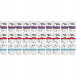 Dolina Noteci Premium MIX smaków 30x300g