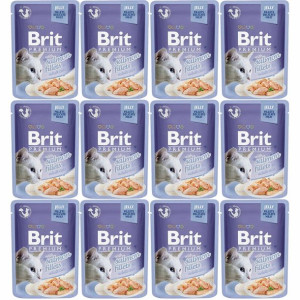 Brit Cat Pouch Jelly Fillets with Salmon 12x85g