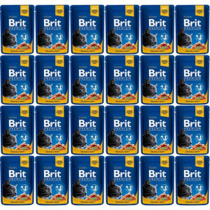 Brit Cat Pouches Salmon&TROUT 24x100g