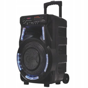 MANTA Głośnik karaoke z mikrofonem Power Audio SPK