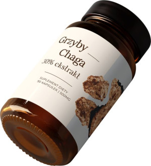 Chaga 90 kaps. po 500mg