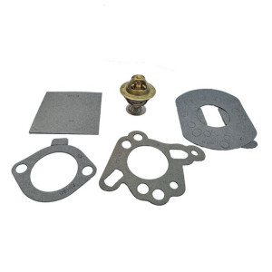 Termostat Nissan