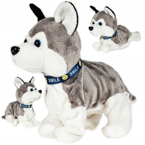 Pies Interaktywny Piesek Husky Reaguje Na Dotyk