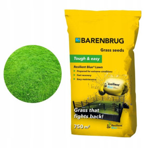 Trawa BARENBRUG Resilient Blue 15 kg