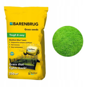 Trawa BARENBRUG Resilient Blue 5 kg