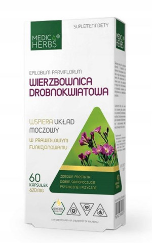 Wierzbownica Drobnokwiatowa Układ Moczowy Prostata