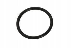 O-ring termostatu VOGE