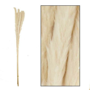 Trawa pampasowa Jaxx bielona 75 cm 6 szt