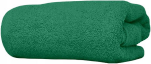 Ręcznik 100% Bawełna Frotte 50x100 500g Zielony