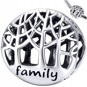 CHARMS FAMILY srebro 925 koralik S925 zawieszka