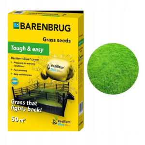 Trawa BARENBRUG Resilient Blue 1 kg