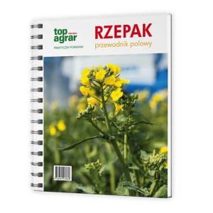 Rzepak przewodnik polowy
