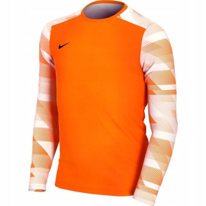 Bluza bramkarska dla dzieci Nike Dry Park IV XS