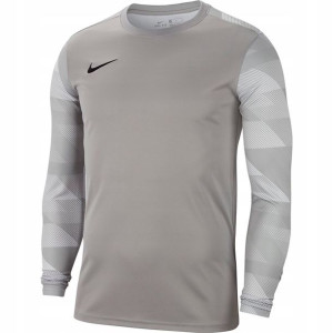 Bluza bramkarska męska Nike Dry Park IV JSY LS L