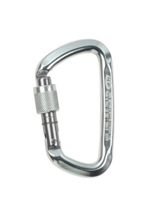 Karabinek do wspinaczki D-SHAPE CF SG Climbing Technology