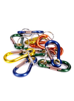 Brelok do kluczy z karabinkiem Climbing Technology Key 504