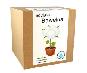 Zestaw do Uprawy Bawełna indyjska nasiona ozdobna