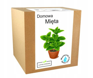Zestaw do Uprawy Mięta Domowa Pieprzowa nasiona