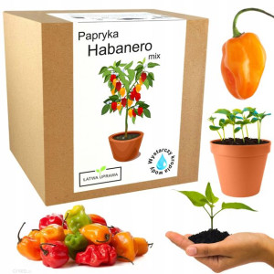 Zestaw do Uprawy Papryka chili ostra Habanero MIX