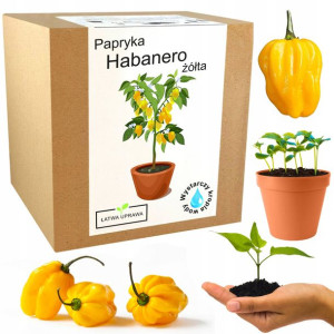Zestaw do Uprawy Papryka chili Habanero żółta