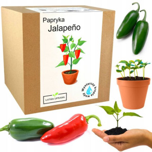 Papryka Jalapeno Chili zestaw do uprawy - papryki