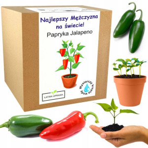 Papryka Jalapeno Chili prezent dla niego chłopaka