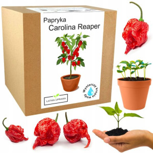 Zestaw do Uprawy Carolina Reaper HP22B Red nasiona