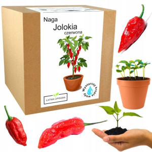 Zestaw do Uprawy papryka Naga Bhut Jolokia nasiona