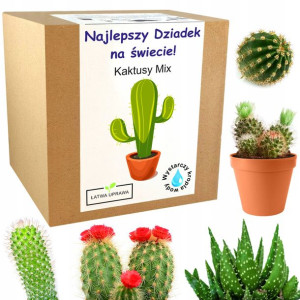 Zestaw do uprawy KAKTUSY MIX prezent dzień dziadka
