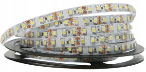 Taśma Led Smd 2835 600 5m Ip20 Biała Zimna